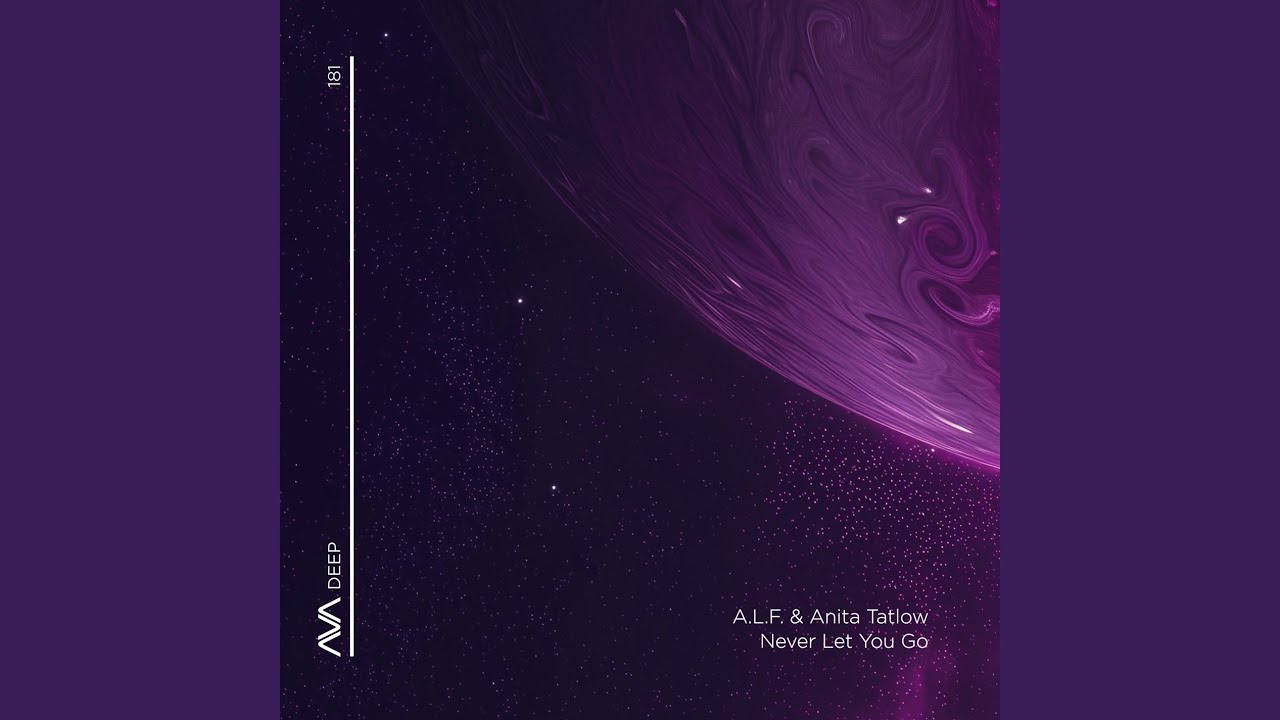 Never Let You Go (Extended Mix)
