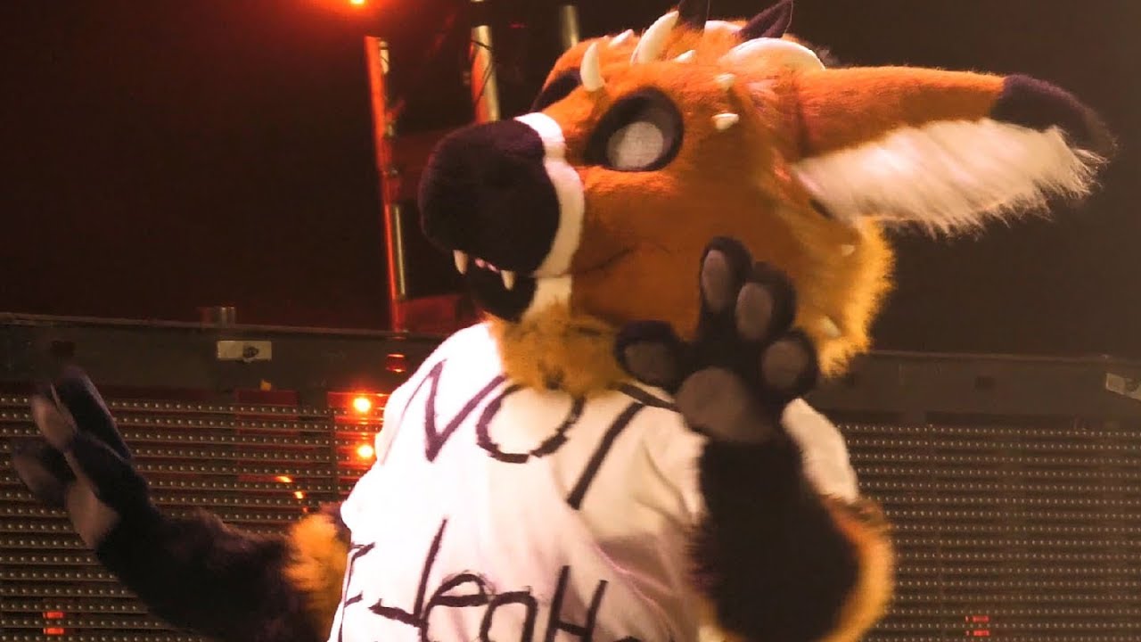 Tayerr - BLFC 2018 Fursuit Dance Competition - 4K 60FPS