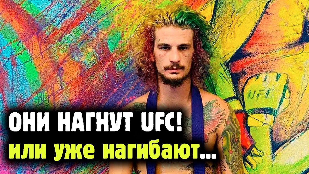 НОВОЕ ПОКОЛЕНИЕ ЗВЕЗД UFC! Обзор лучших типов нового поколения в каждой весовой