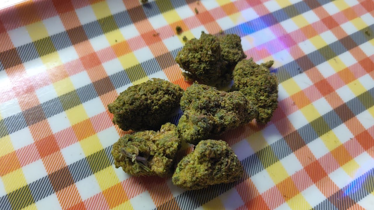 The Hemp Cartels Greenhouse Gorilla Glue Delta 8 Flower! 👌🔥