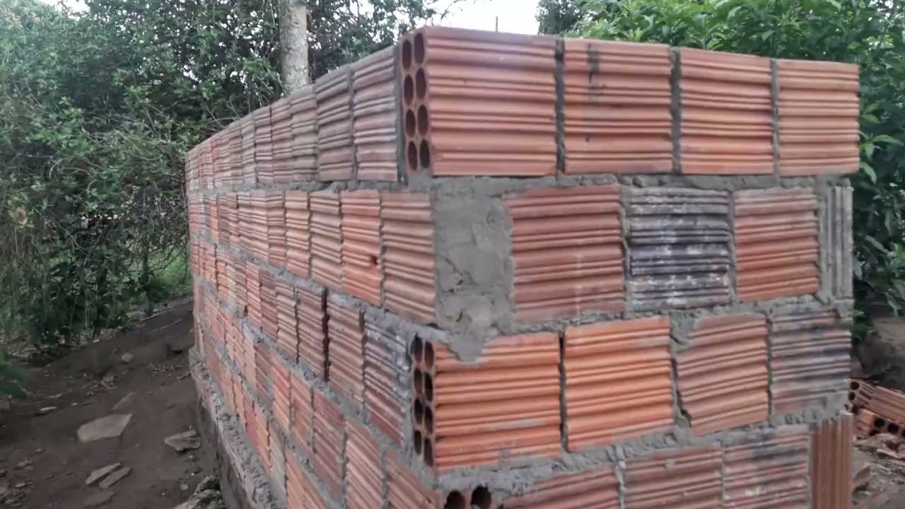 Pequena criação de galinha 