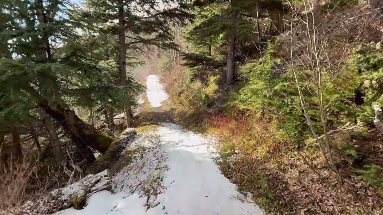 2025 Alaska - Crescent Lake Trail