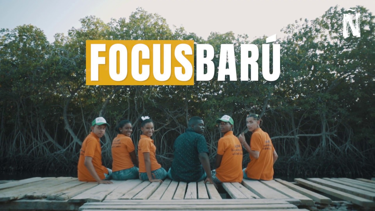 Focus Barú | Enseña por Colombia