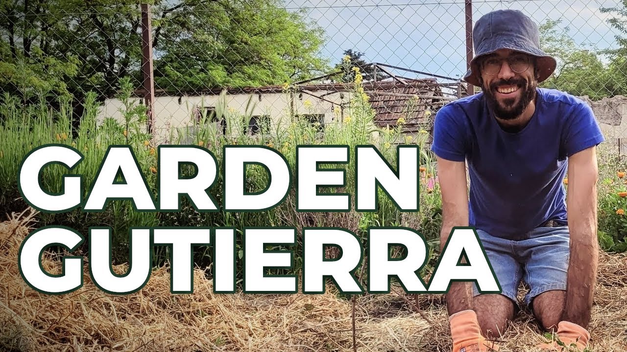 Bienvenidos a Garden Gutierra 🌱 | Qu&eacute; encontrar&aacute;s en este canal