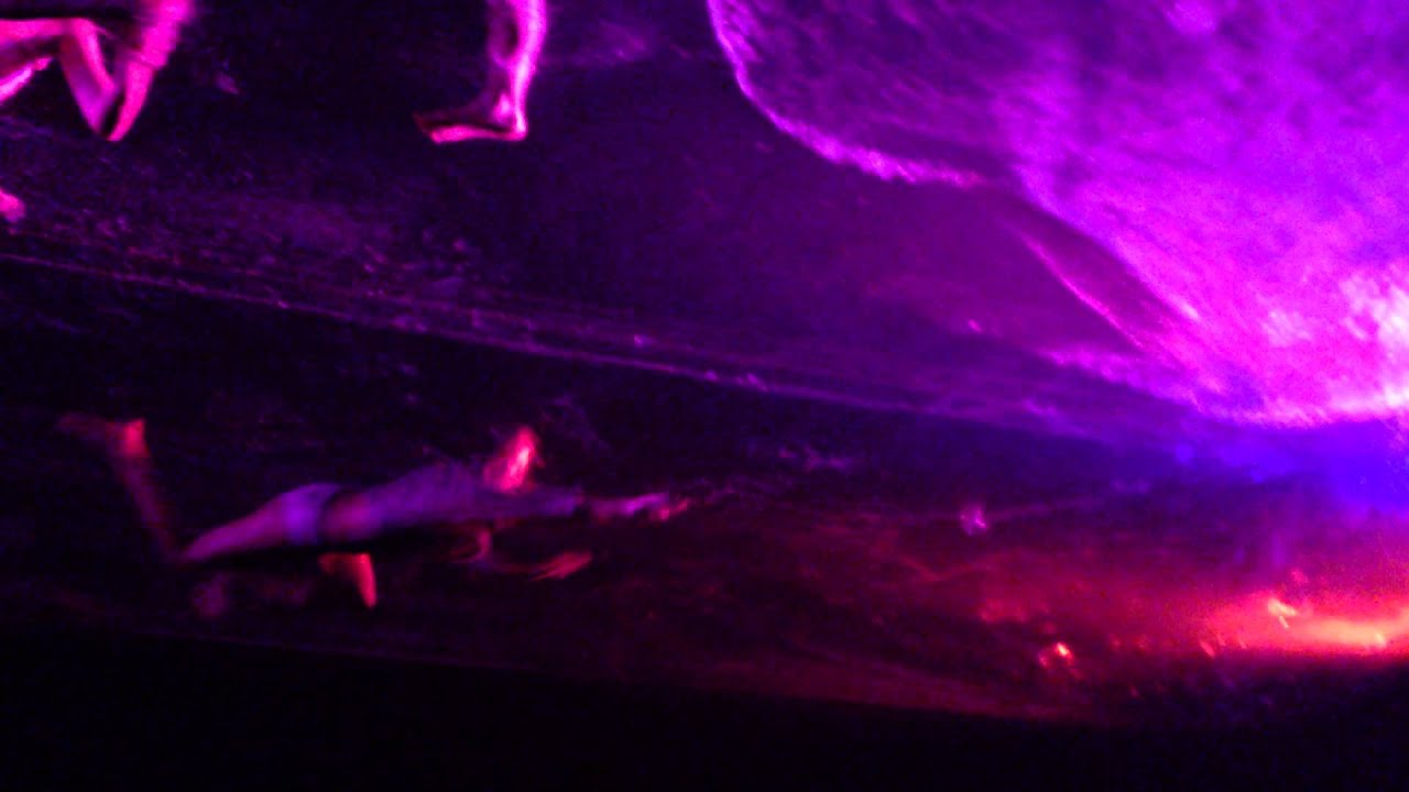 Fuerza Bruta New York!!