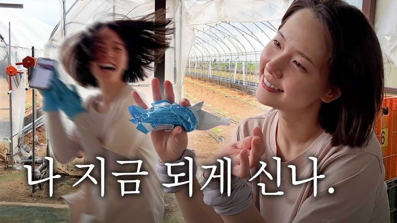 농장에서 일하고 춤추고 노래부르는 시골 일상 브이로그