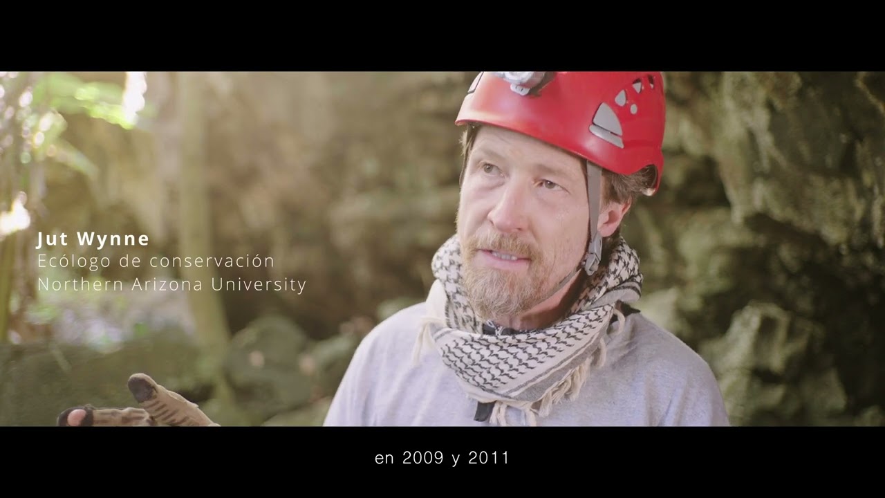 Conservation of Endemic Insects on Rapa Nui