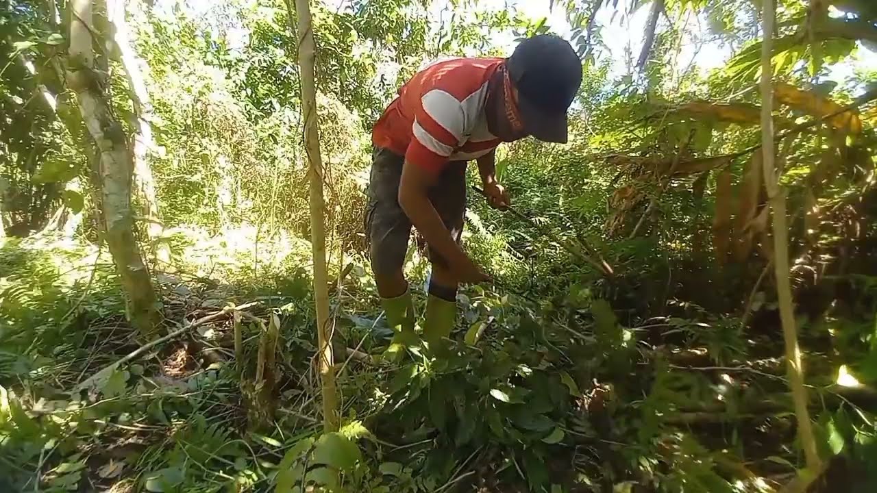 Pameri semak yang menguras tenaga hanya dengan parang.#17 @hatamhekal 