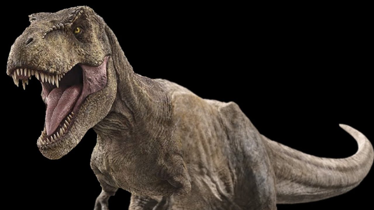 Rexy vs triceratops. Animação 3D