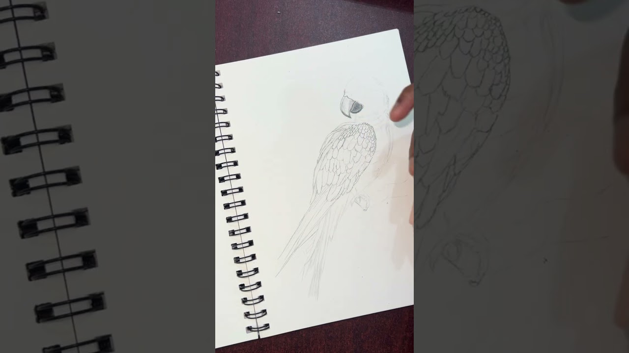 P2