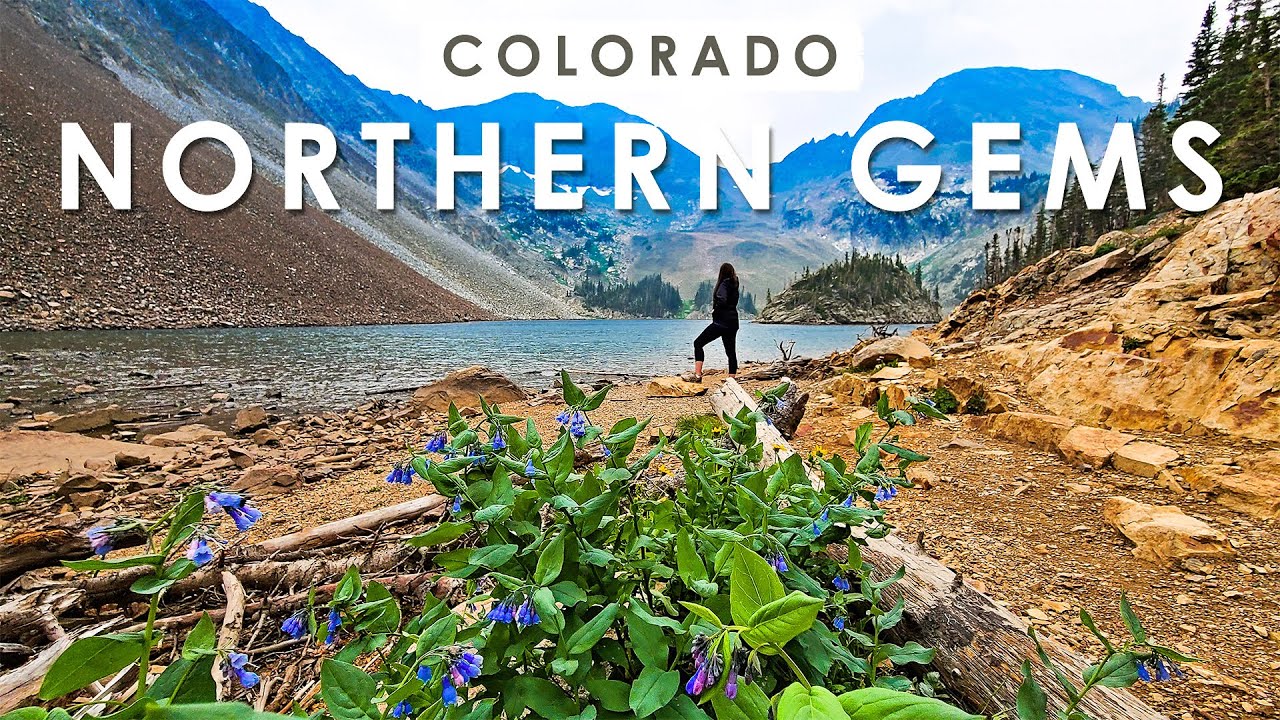 MOOSE & SAND DUNES?! | Hidden Gems of Northern Colorado