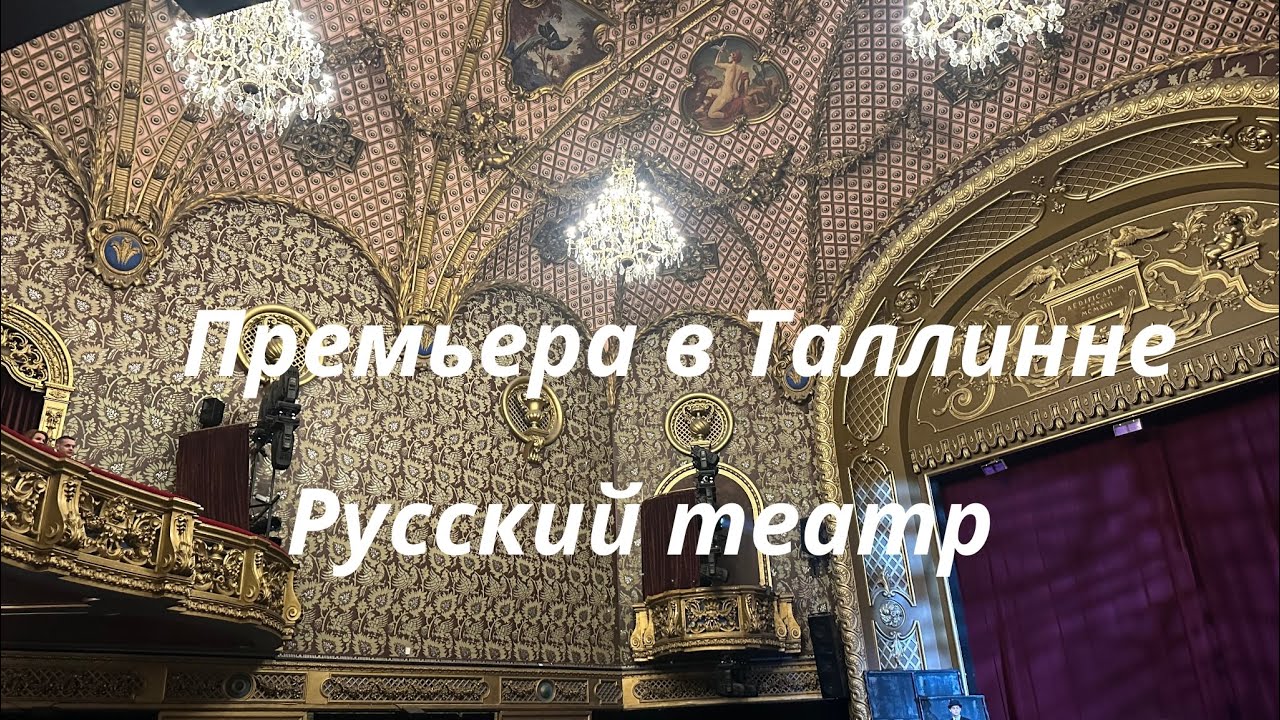 Русский Дон Кихот в Эстонии – я не ожидала таких эмоций…