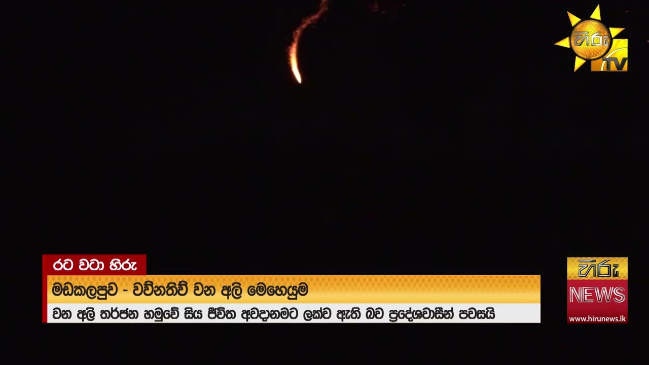 මඩකලපුව - වව්නතිව් වන අලි මෙහෙයුම - Hiru News