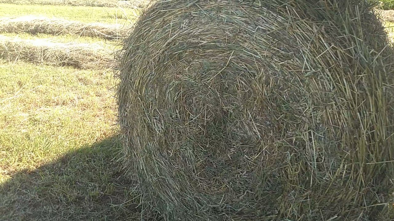 Round baling with a Krone KR130
