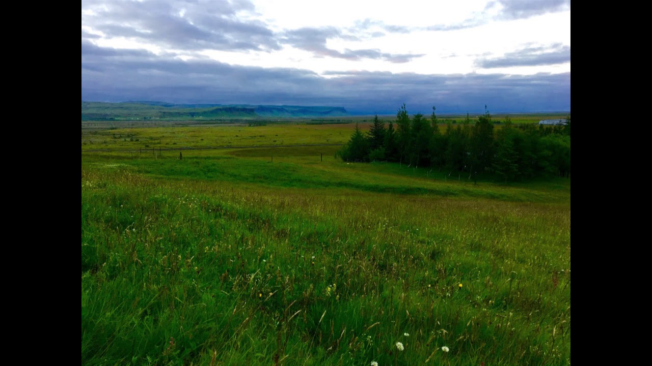 Birdsong at Night in June in South Iceland