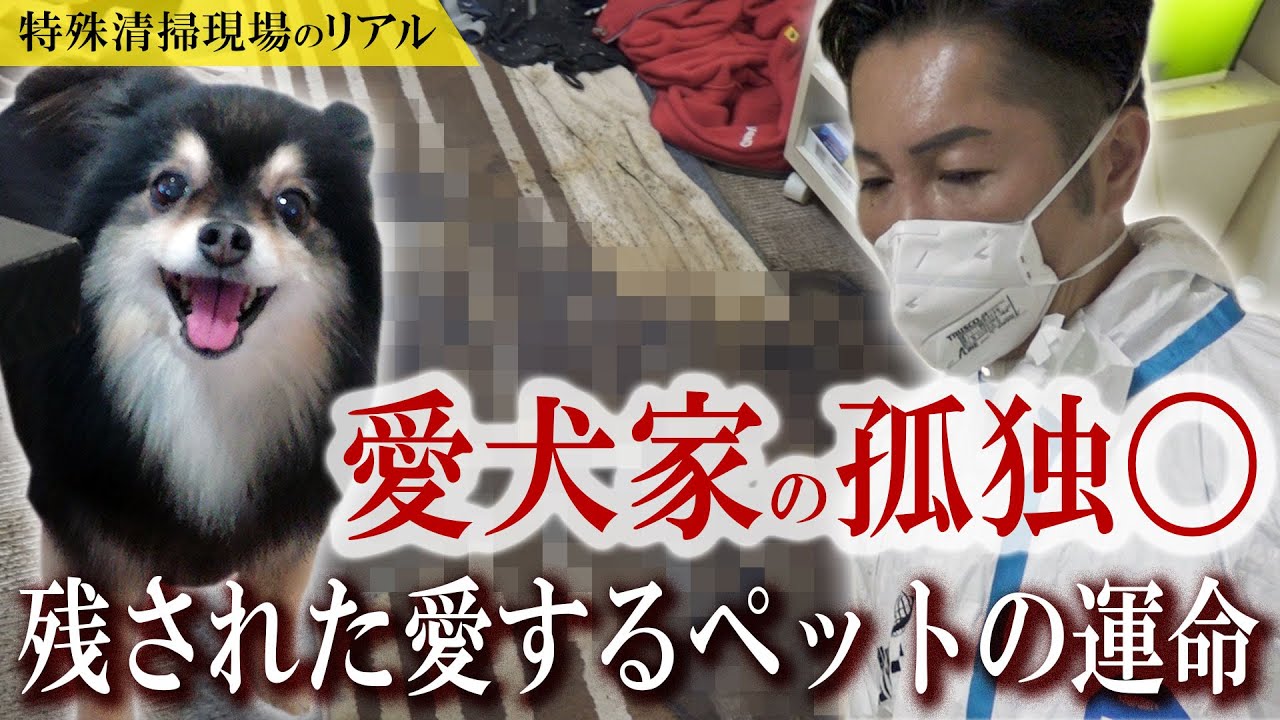 【閲覧注意】亡くなった後も悲しむ愛犬家の孤独〇『ペットに対する義務と責任とは』｜遺品整理士／特殊清掃