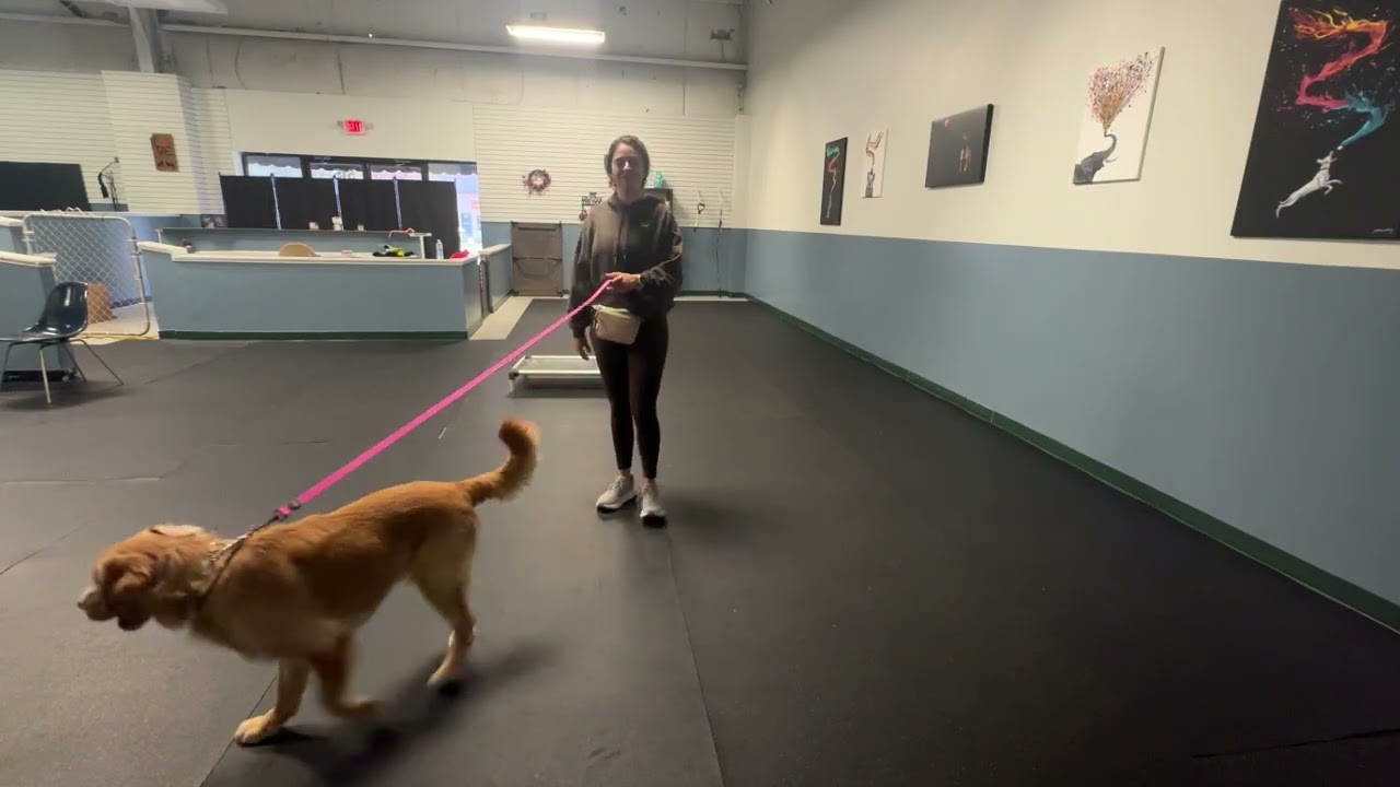 Hank play and place 