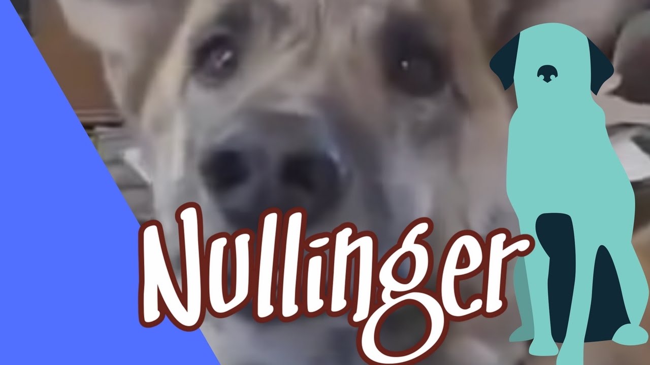 Studiotechniker Nullinger ist ein hundsgemeiner Bayer, aber witzig