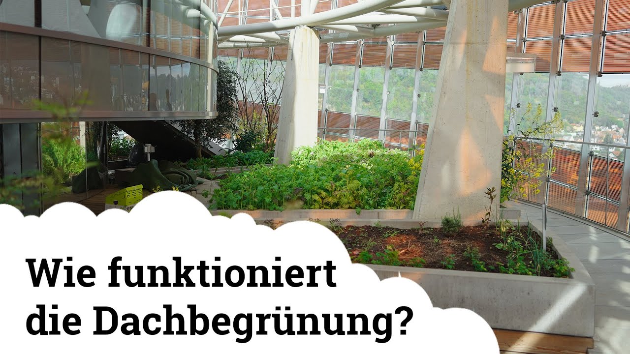 Smart City Rooftop Farming | Ein Update zum Projekt