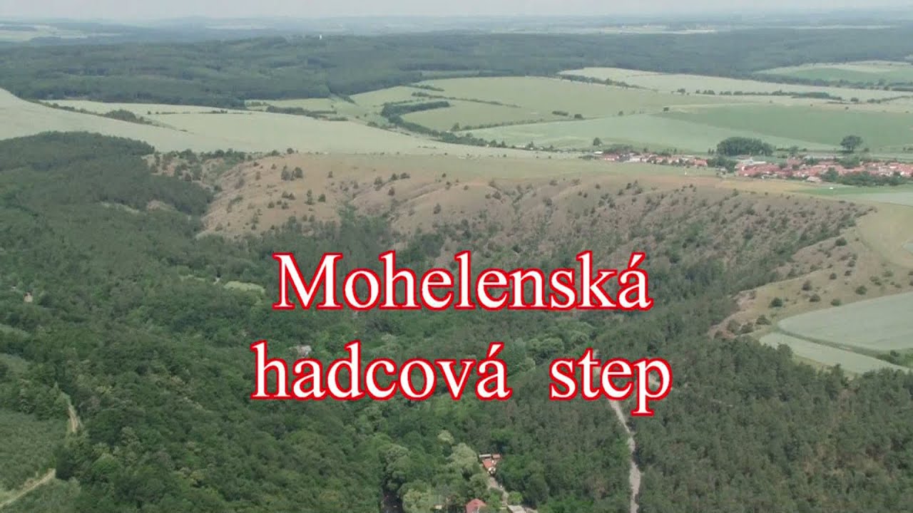 Mohelenská hadcová step