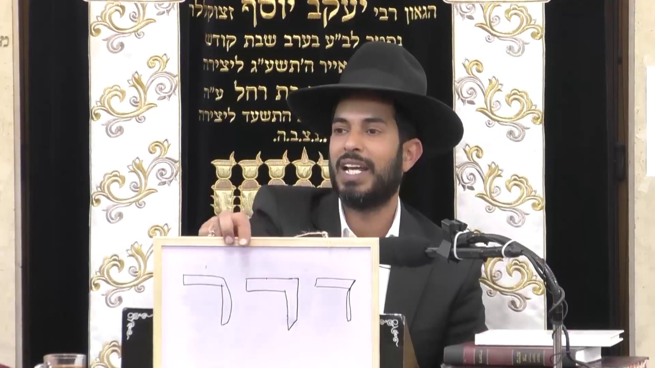 הרב יוסף כהן • צורת האות הלכות סת