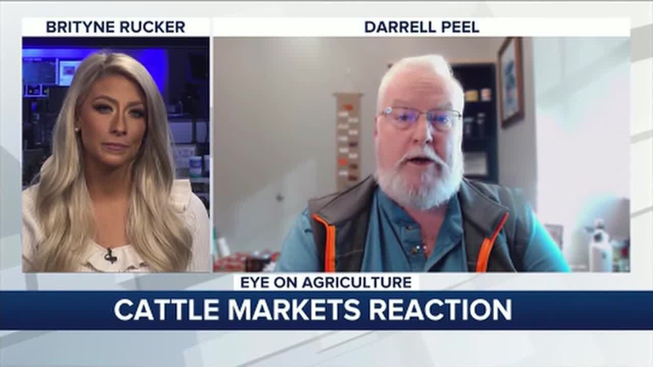 Eye on Agriculture Cattle Markets