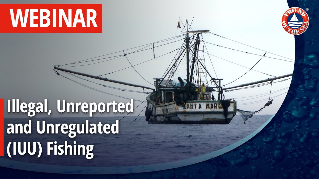 WEBINAR: Combating Illegal, Unreported and Unregulated (IUU) Fishing