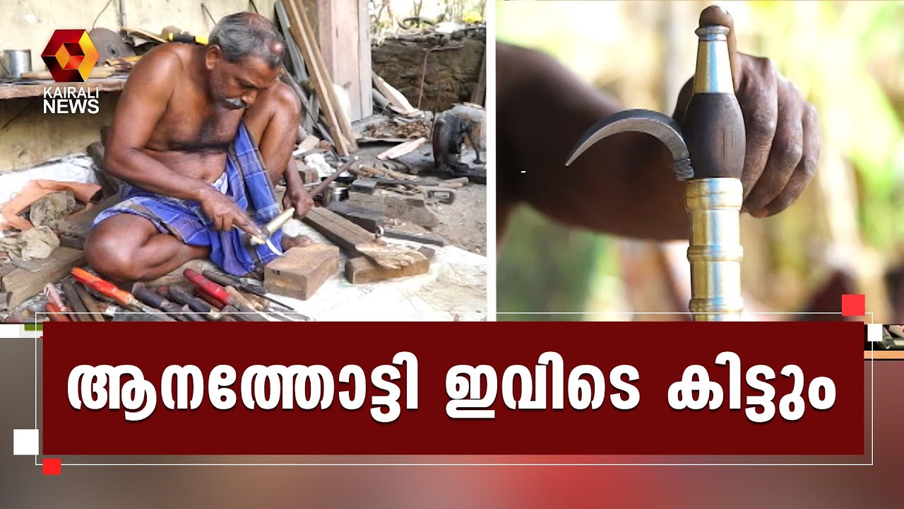 ആനത്തോട്ടി വേണ്ടവർക്ക് പത്തനംതിട്ടയിലേക്ക് വരാം | Pathanamthitta | Kairali News
