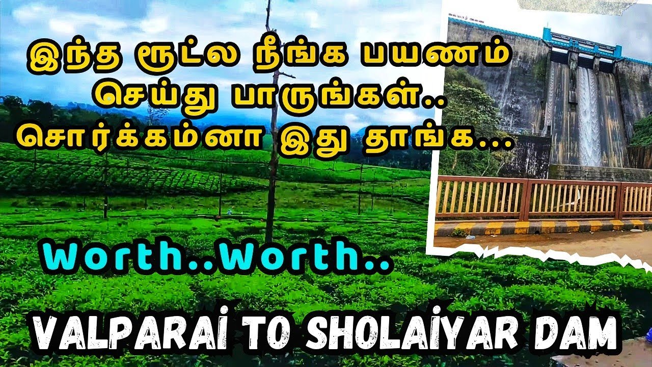  Way to Sholaiyar Dam in Valparai | Full of tea estates | Scenic road for photoshoot