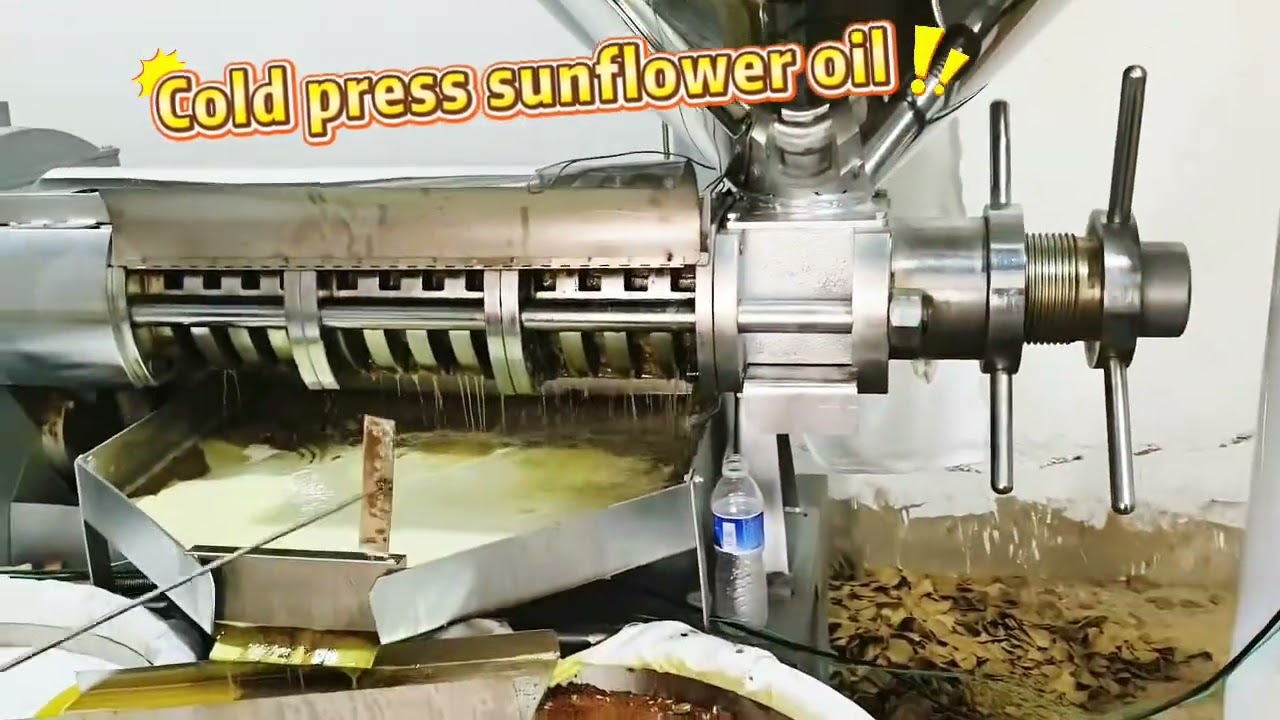6YL-160 screw oil machine cold press sunflower oil
