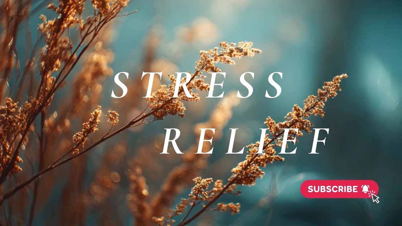 Bible Verses for Stress Relief | 110-Minute Christian Video of Scripture for Peace