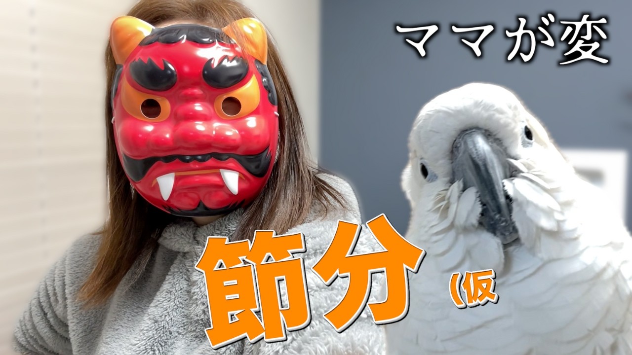節分(仮)｜ママの様子が変すぎた定点記録