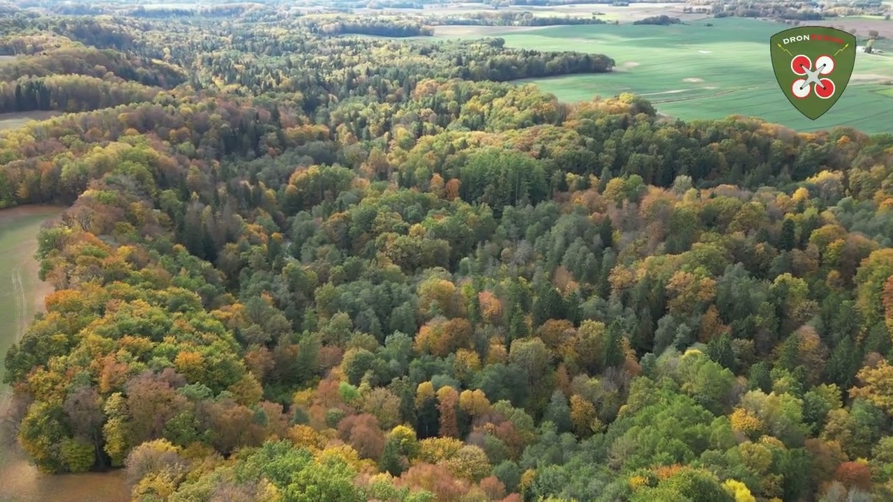 Lot swobodny dronem nad doliną rzeki Wałszy, czyli nad najstarszym w Europie rezerwatem przyrody.
