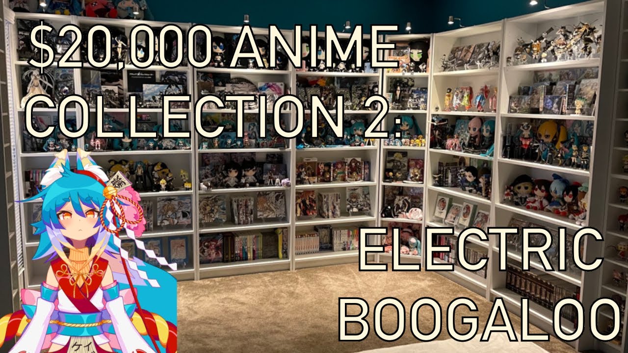 $20,000 Anime Collection Review 2 : Electric Boogaloo
