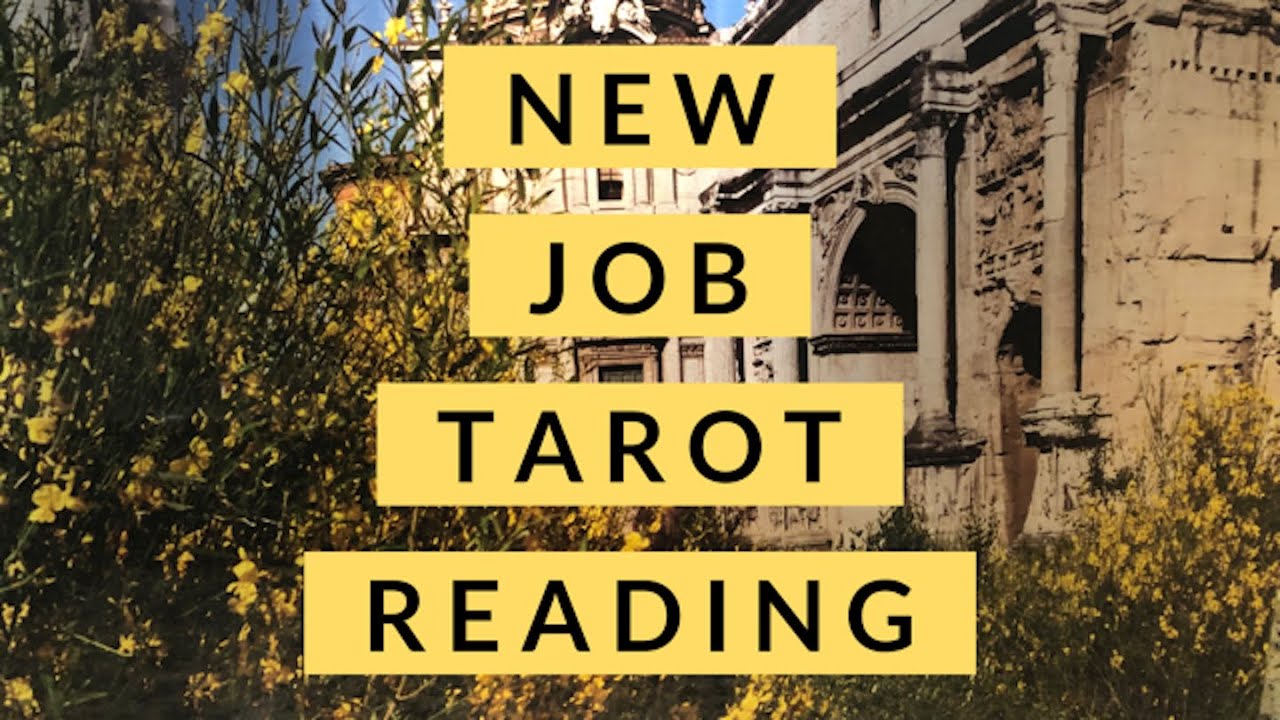 New Job Tarot Card Reading [Tarot Counselor]