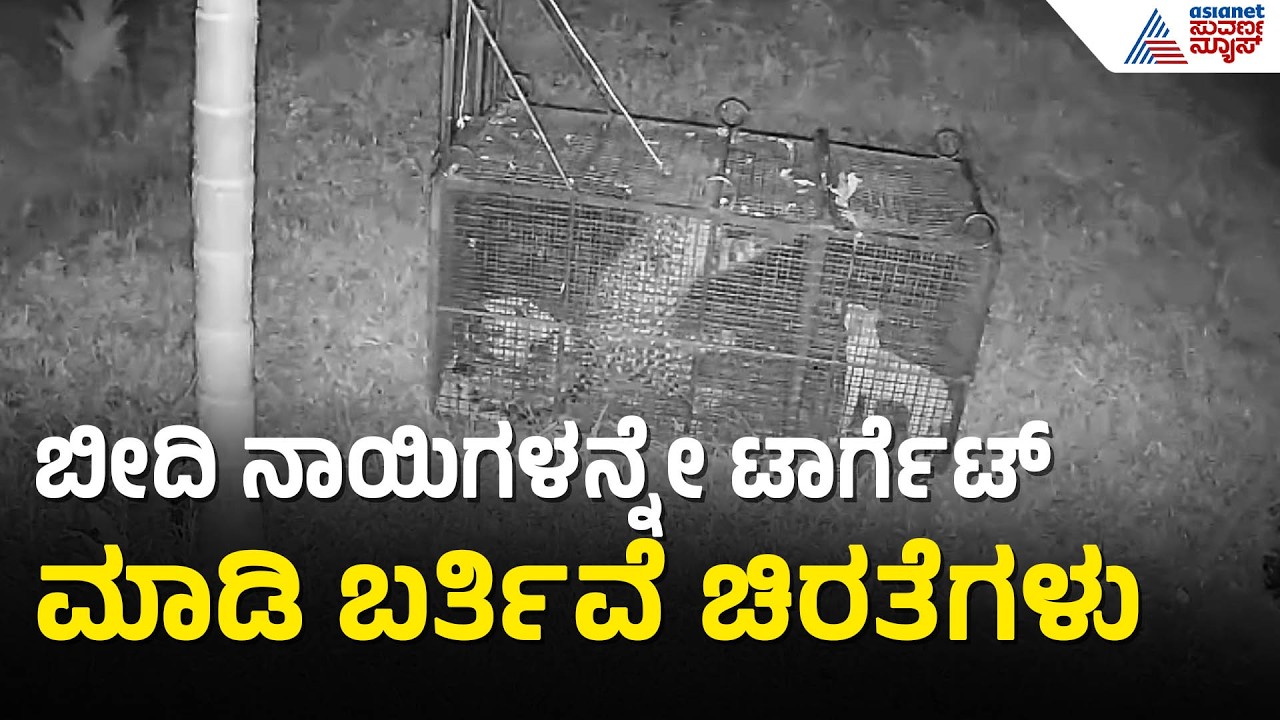ಉಡುಪಿ ಜಿಲ್ಲೆಯಾದ್ಯಂತ ಚಿರತೆ ಭೀತಿ: ನಗರ ಪ್ರದೇಶಗಳಿಗೂ ನುಗ್ಗಿದ ಕಾಡುಪ್ರಾಣಿಗಳು | Udupi leopard | Suvarna News