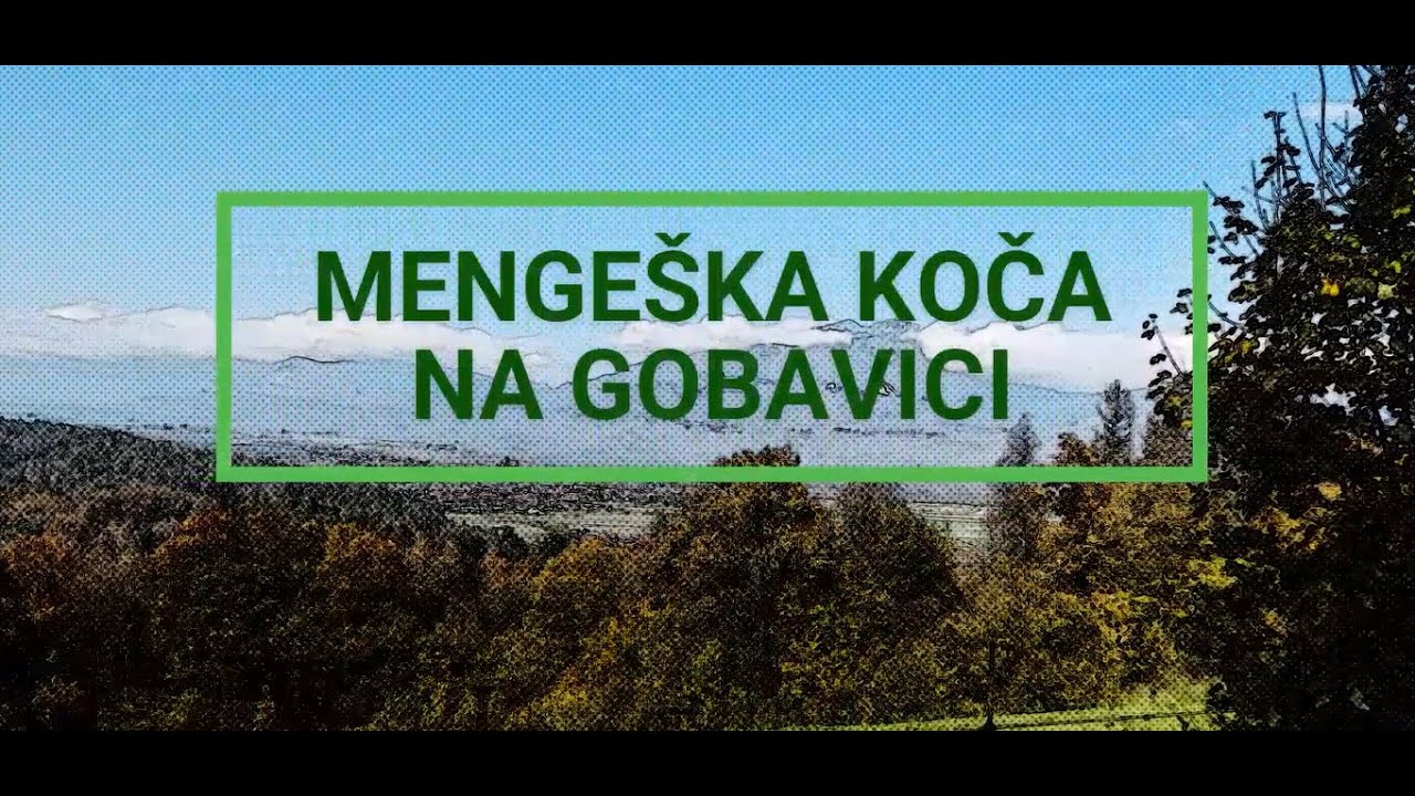 NA MENGEŠKO KOČO GREM POGLEDAT KOZE IN VIETNAMSKEGA PUJSA