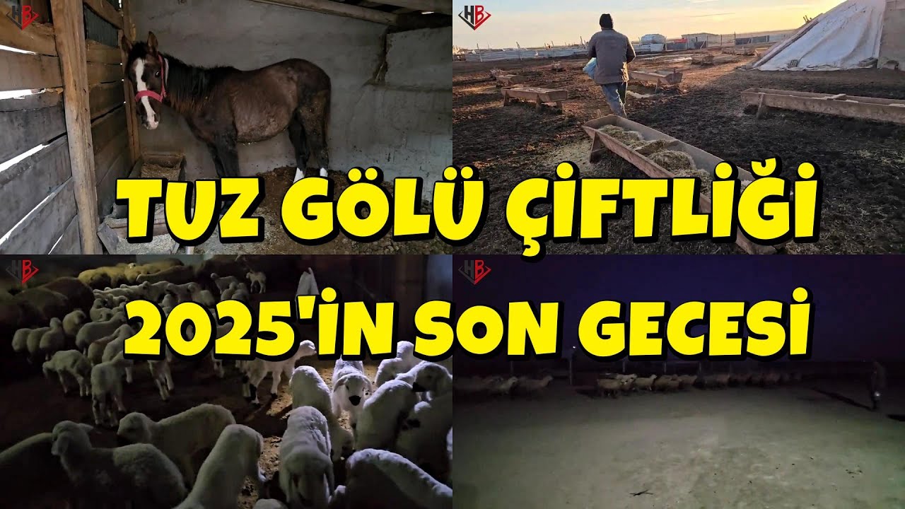 TUZ GÖLÜ ÇİFTLİĞİ 2025'İN SON GECESİ