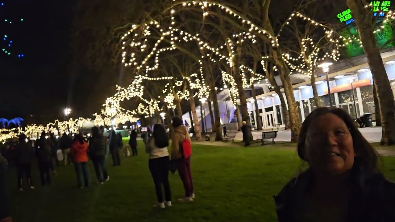 1/30/26 Seahawks Drone Show at Seattle Center