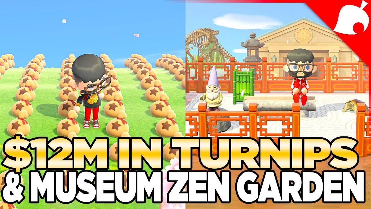 12 Million Bells in the Stalk Market & Finish the Museum Zen Garden in Animal Crossing new Horizons