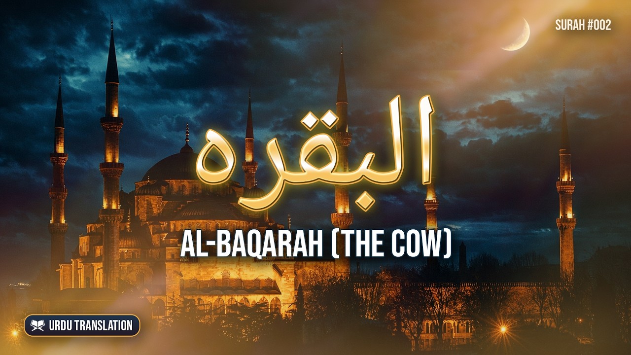 Surah Al-Baqarah (002) Urdu Translation Tarjuma | البقرہ | The Cow | Daily Quran
