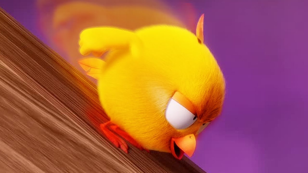 Chicky Goes Fast! | Where's Chicky? | Cartoon Collection in English for Kids | New episodes