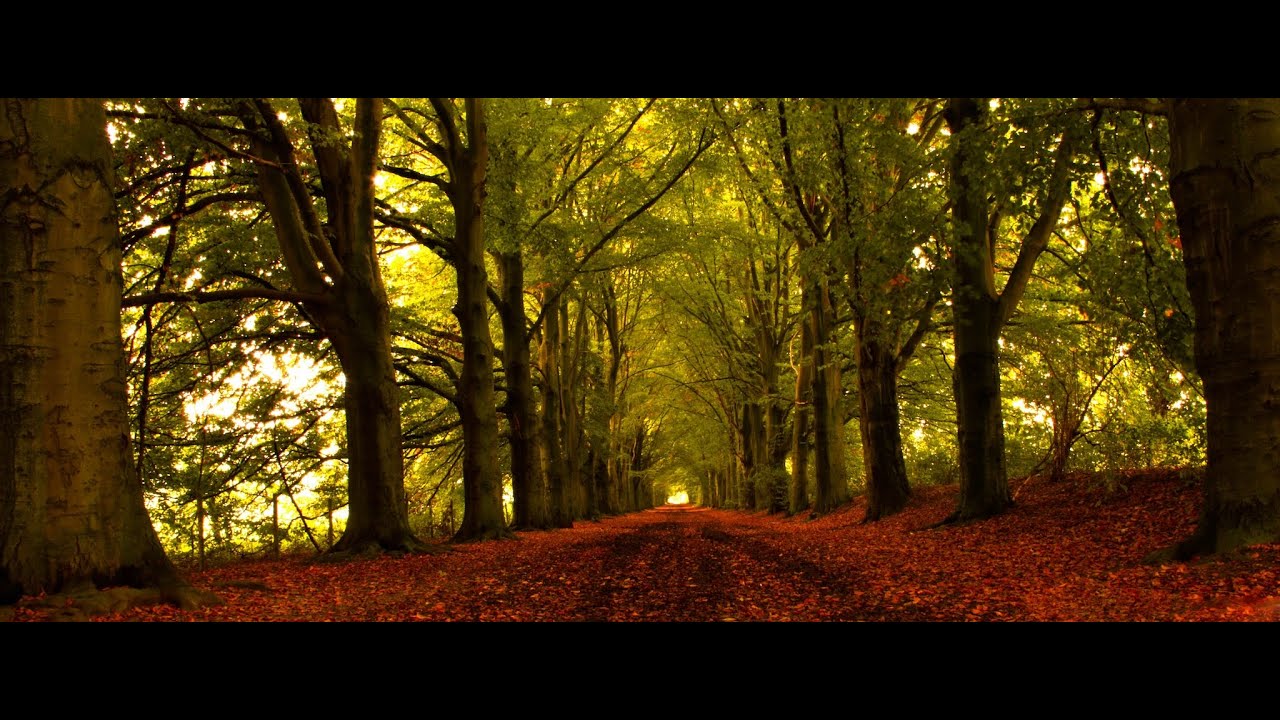 Mergelland fiets route West lus Deel 3 en tevens laatste Video