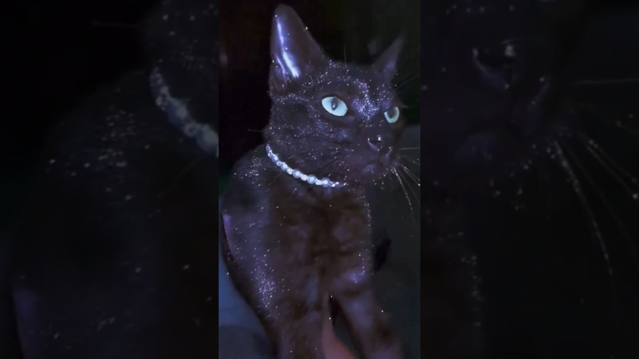 She Found The Glitter Box 😂