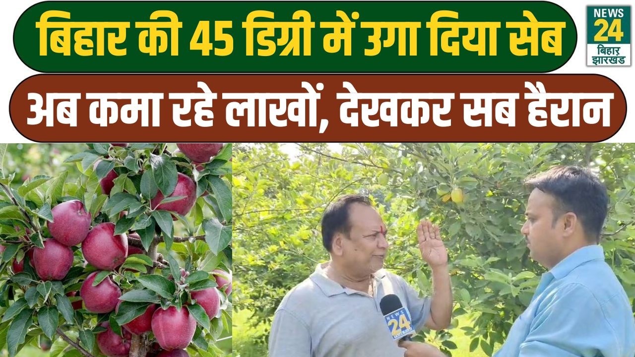 Apple Farming In Bihar Champaran : चंपारन की 45 डिग्री गर्मी में उगाया सेव, अब कमा रहे लाख