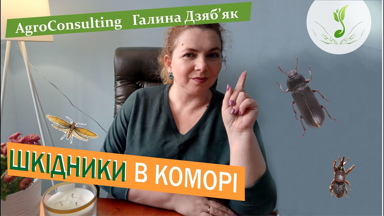 Боротьба за врожай триває. Шкідники запасів, контроль та методи боротьби