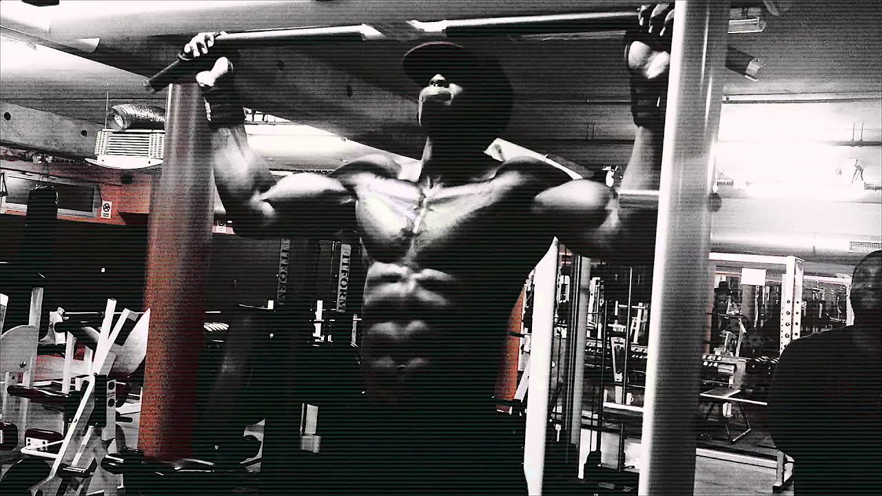 MORE #PAIN, MORE #GAINS - THE ANIMAL SHADOW  SURVIVAL