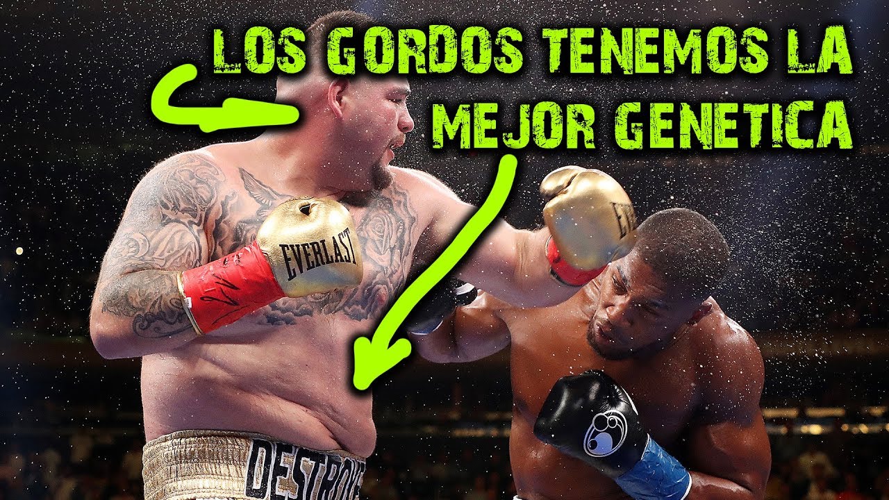 LOS GORDOS TENEMOS LA MEJOR GENÉTICA