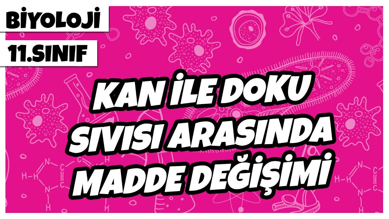 11. Sınıf Biyoloji - Kan ile Doku Sıvısı Arasında Madde Değişimi | 2022