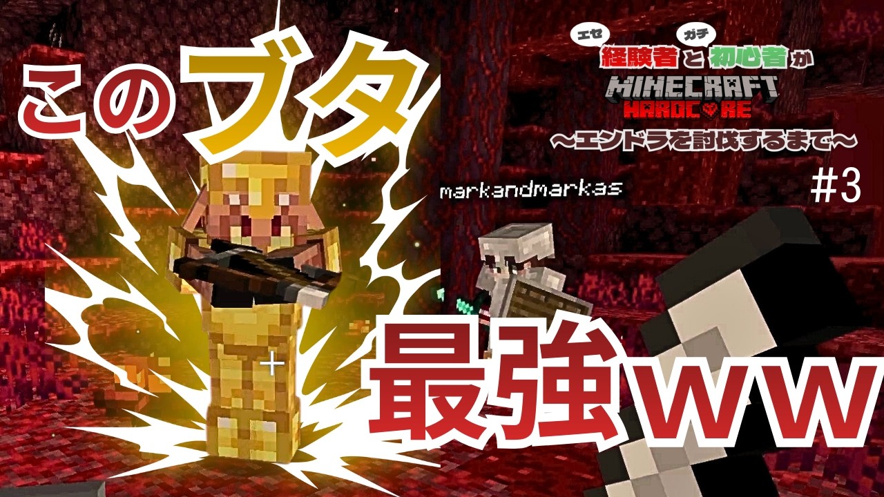 【驚愕】生まれて初めてネザーに行った結果。。【マイクラ ハードコア】